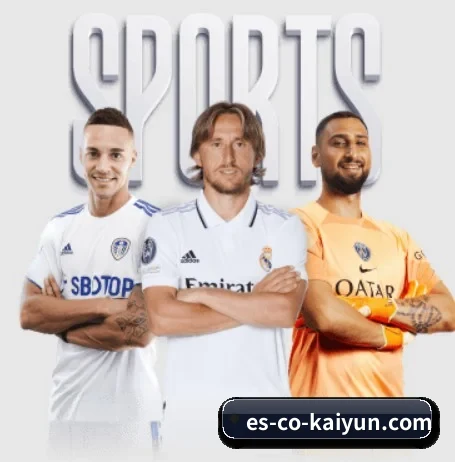 五大服务分区,信息按项目分类 - kaiyun